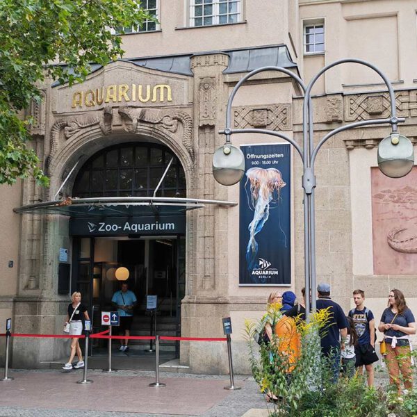 Aquarium Berlin mit Kindern – Unsere Tipps und Erfahrungen