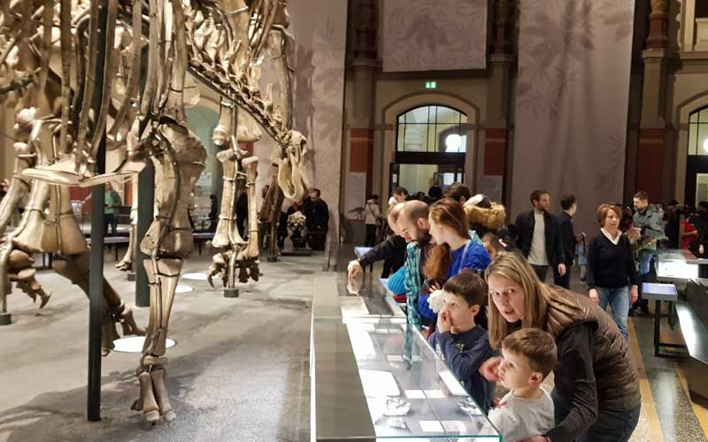 Naturkundemuseum Berlin